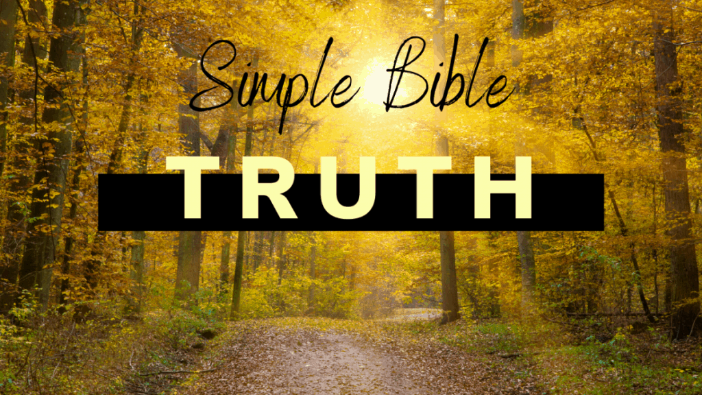 simple Bible truth title on road in wood