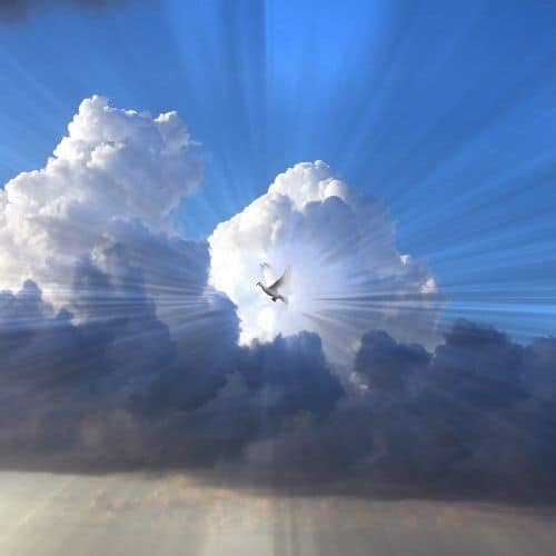 holy spirit bird in sky with rays of light through clouds