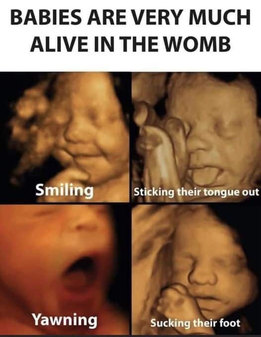 pictures of babies in mother's womb