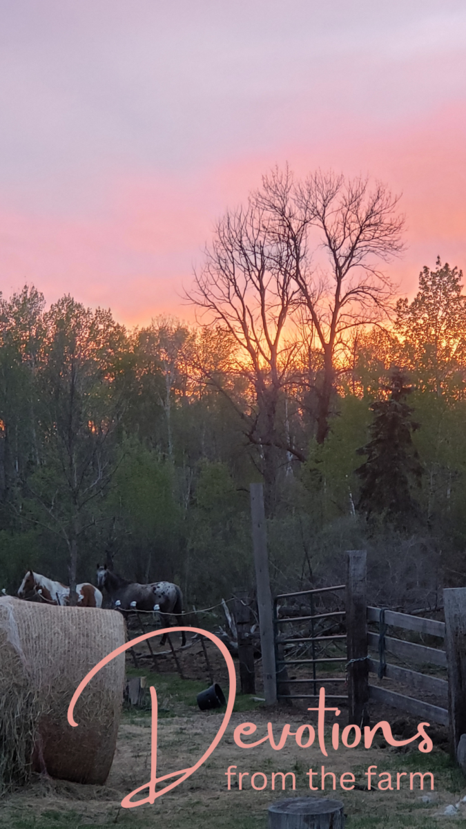 devotionals from the farm